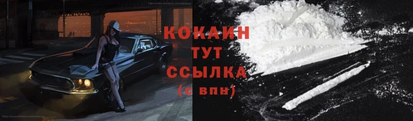 ECSTASY Абаза