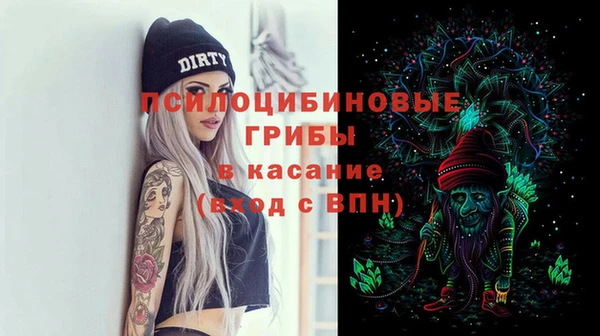 ECSTASY Абаза