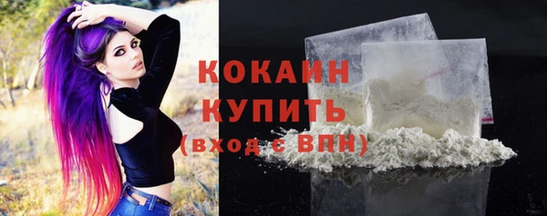 ECSTASY Абаза